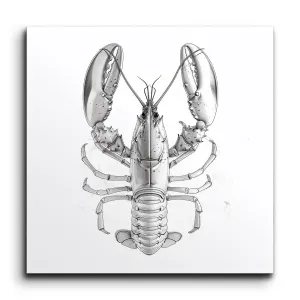 Lifelike Monochrome Lobster Illustration