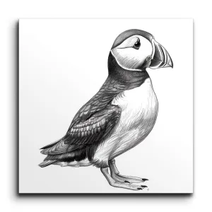 Puffin Elegance: Monochrome Masterpiece