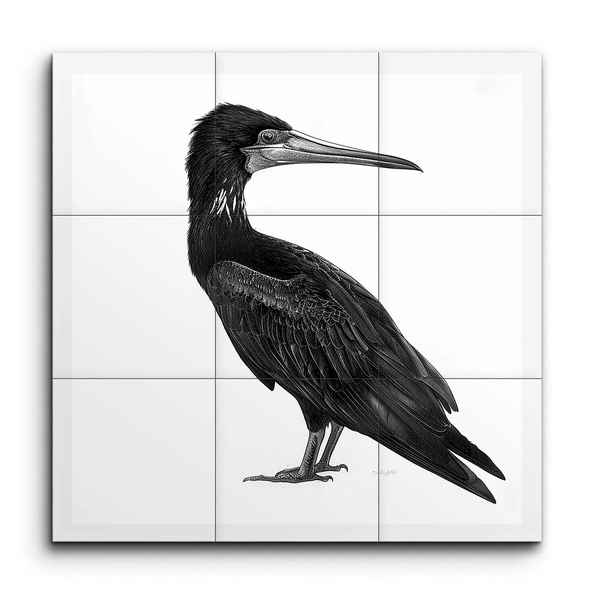 Timeless Cormorant: Monochrome Masterpiece